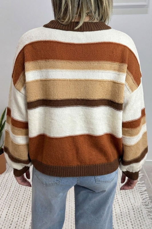 Multicolour Striped Crew Neck Long Sleeve Knit Sweater