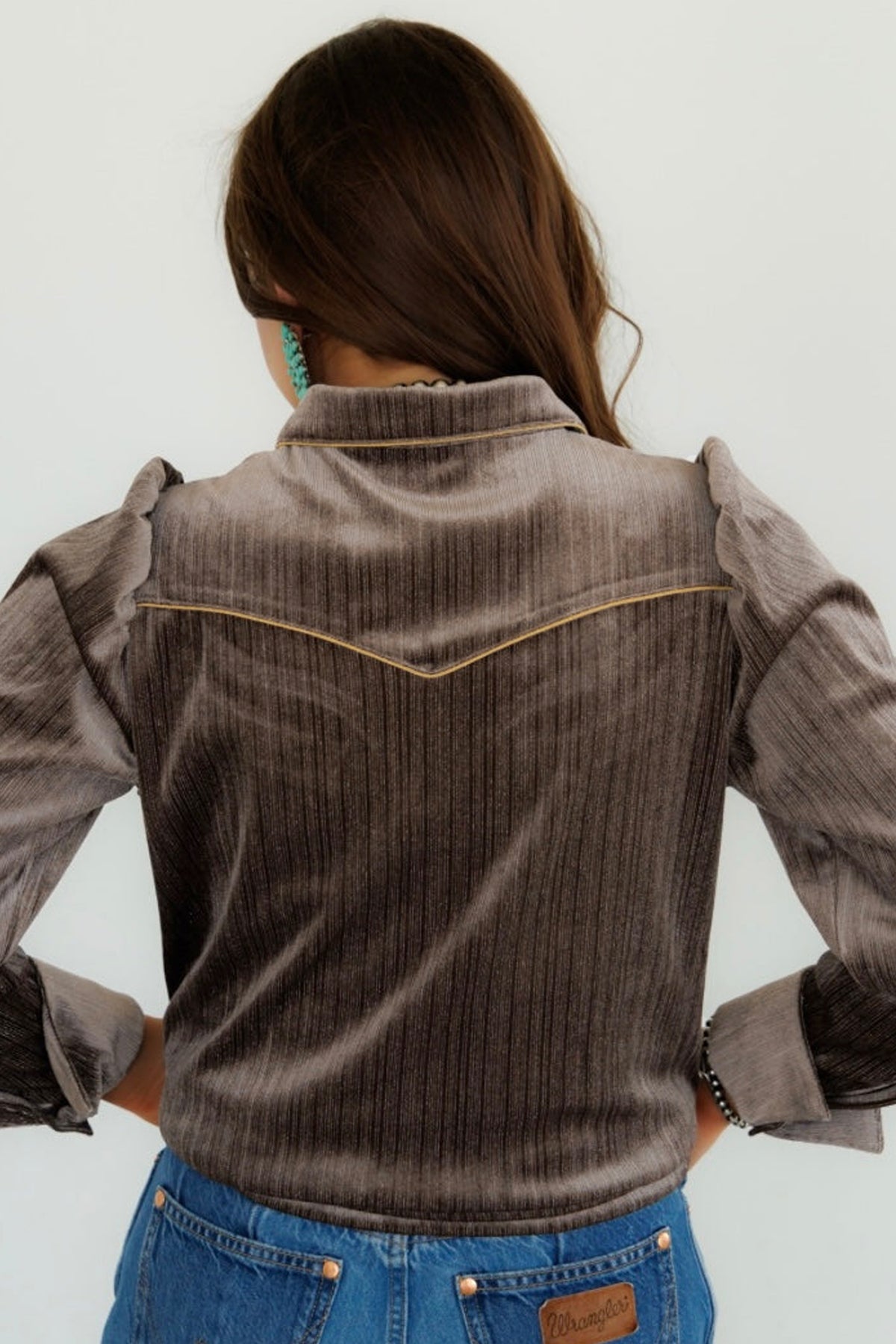 Chicory Coffee Velvet Western Embroidery Puff Sleeve Button Down Shirt