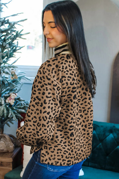 Brown Leopard Print Striped Trim Collar Long Sleeve Shift Pullover