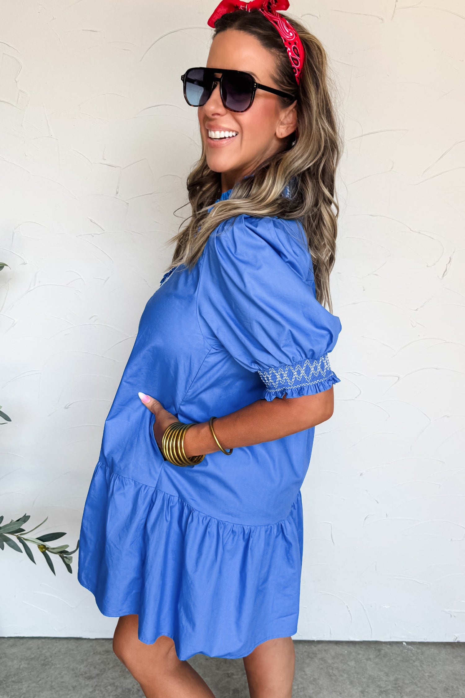 Sky Blue Embroidered Smocked Detail V Neck Short Puff Sleeve Mini Dress