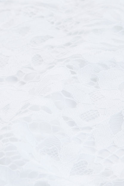 Lace Scalloped V Neck 3/4 Sleeves Pleated Tulle Plus Maxi Dress