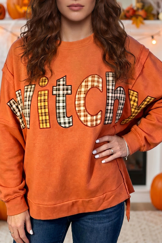 Flamingo Halloween Witchy Plaid Slogan Embroidered Patch Tunic Sweatshirt