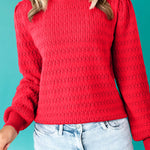 Fiery Red Trendy Pattern Knit Ribbed Cuffs Crew Neck Sweater