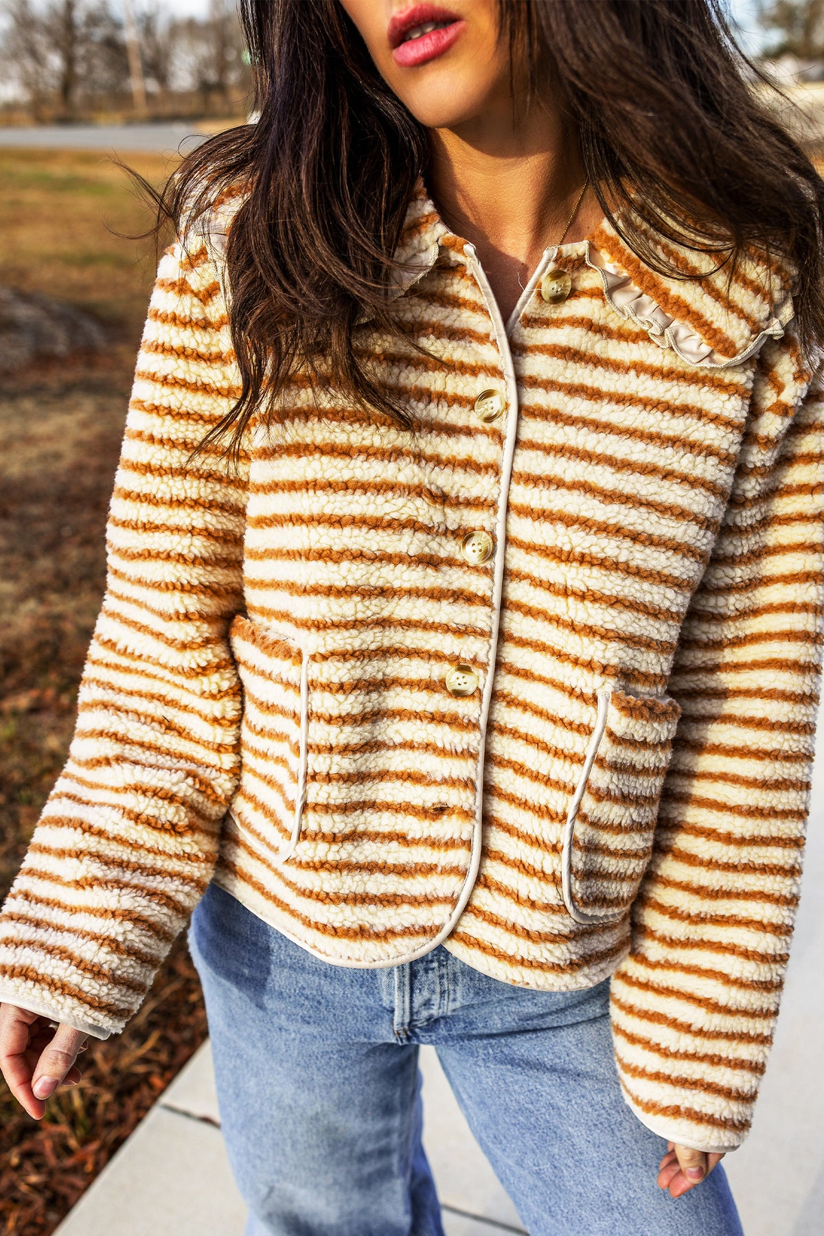 Brown Stripe Striped Fleece Button Front Long Sleeve Regular Fit Jacket