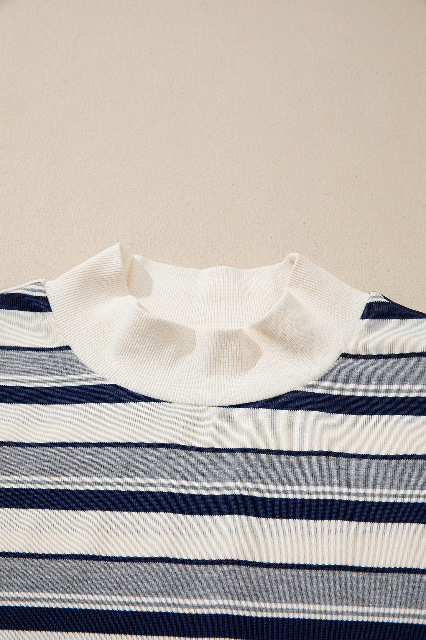 Blue Stripe Striped Ribbed Stand Neck Long Sleeve Shift Silhouette Sweatshirt