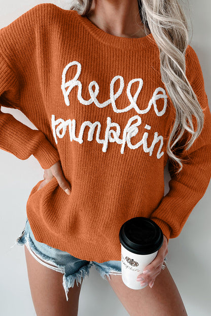 Pull graphique Flamingo Hello Pumpkin