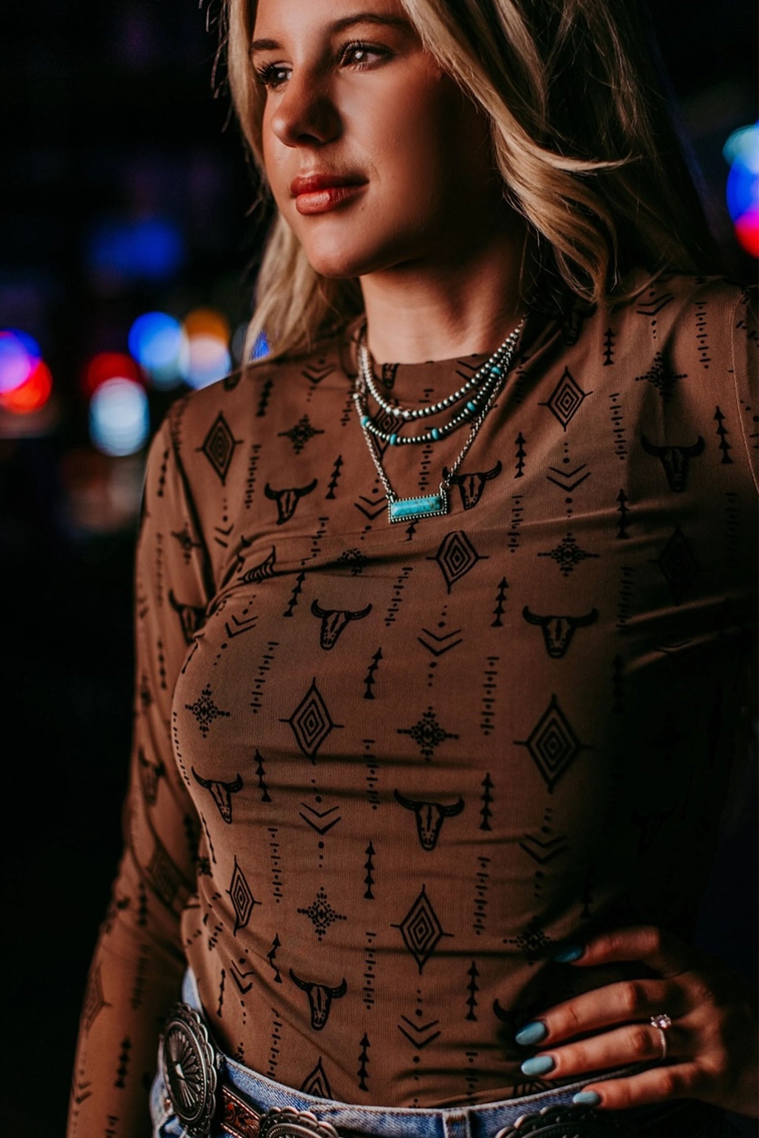 Chestnut Retro Western Print Mesh Long Sleeve Sheath Top