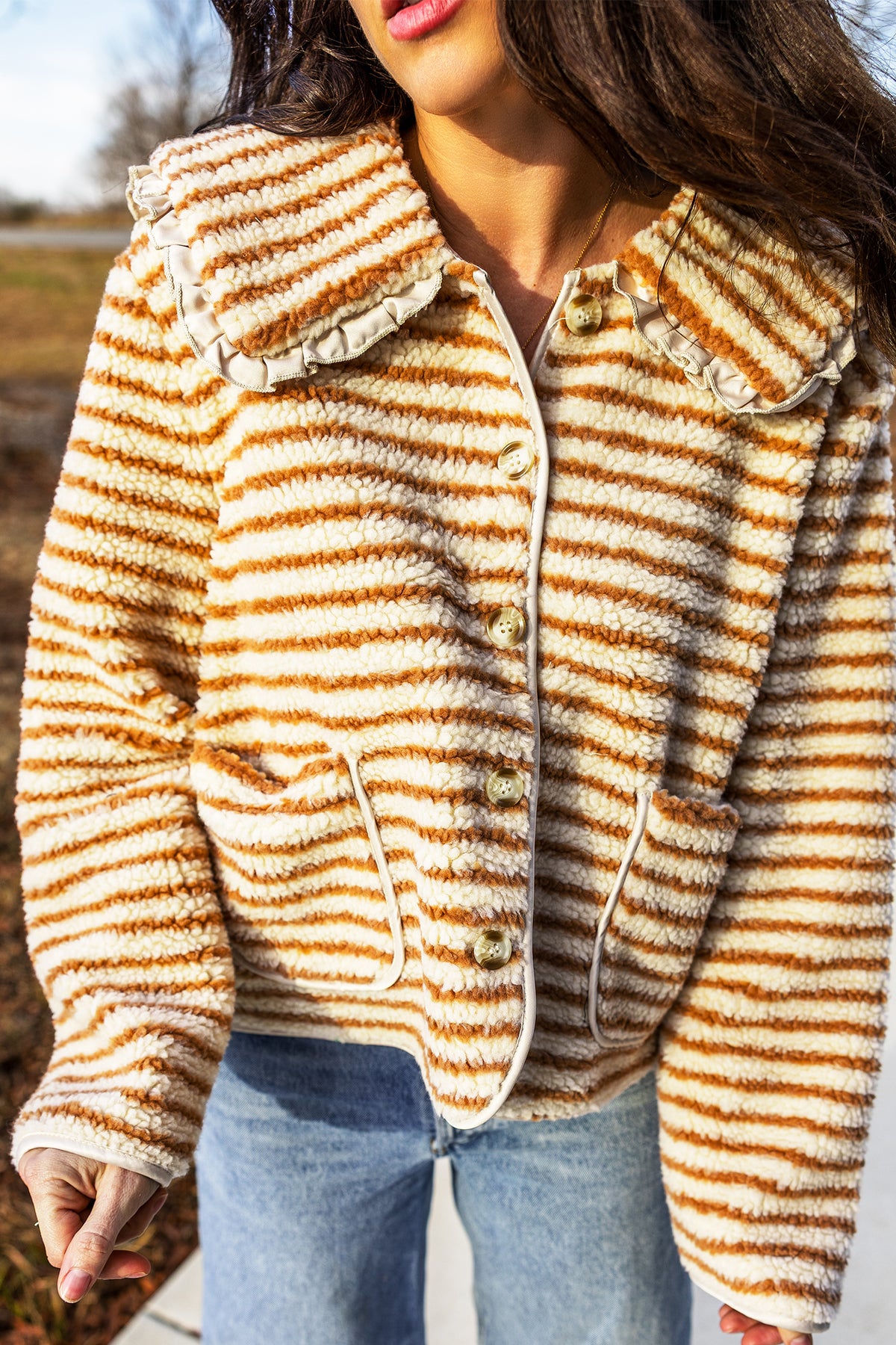 Brown Stripe Striped Fleece Button Front Long Sleeve Regular Fit Jacket