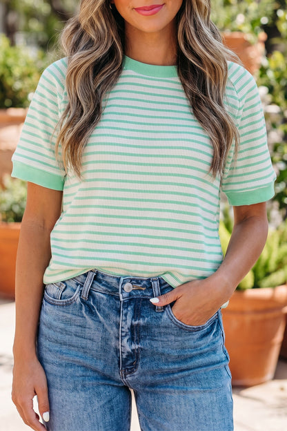Green Stripe Colorblock Trim Round Neck Short Sleeve Tee