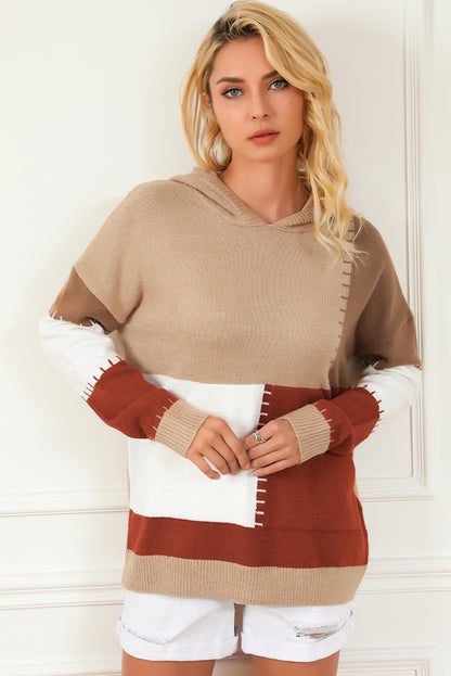 Jersey con capucha y bolsillo de canguro en bloques de color marrón 