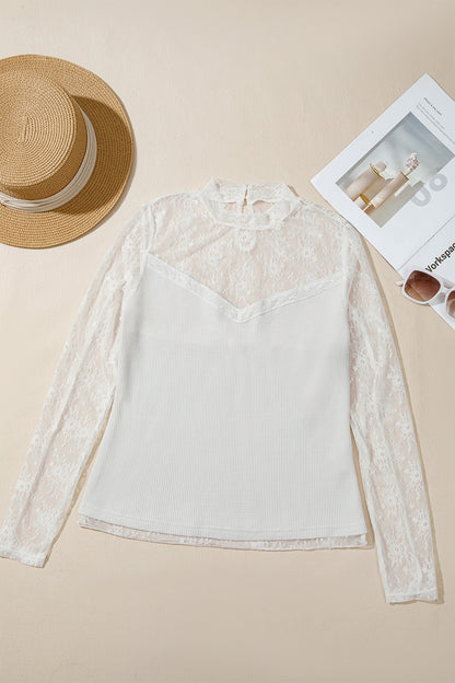 Jet Stream Lace Mesh Long Sleeve Top