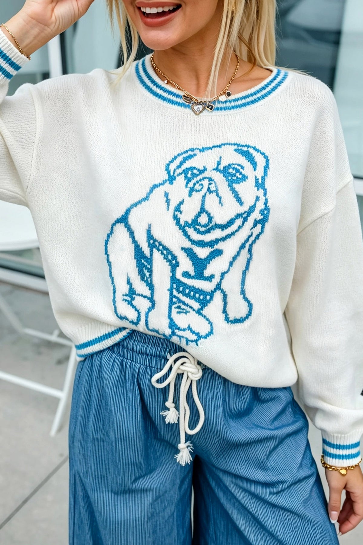 Light Blue Bulldog Contrast Trim Round Neck Casual Sweater