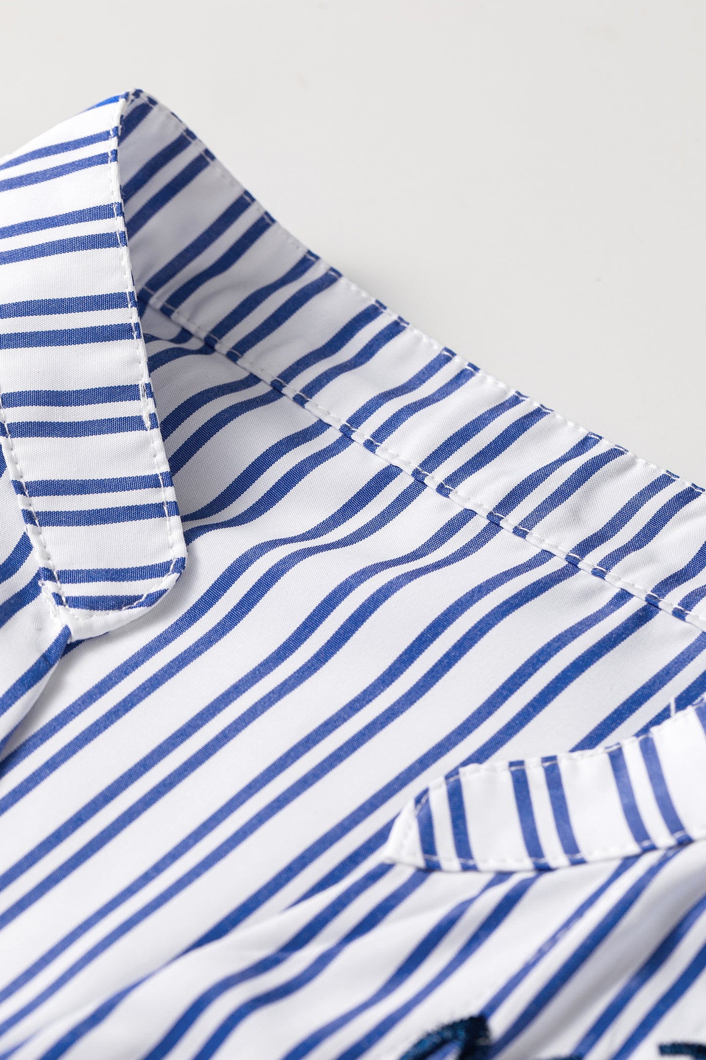 Blue Stripe Embroidered Detail Button Front Long Sleeve Shirt