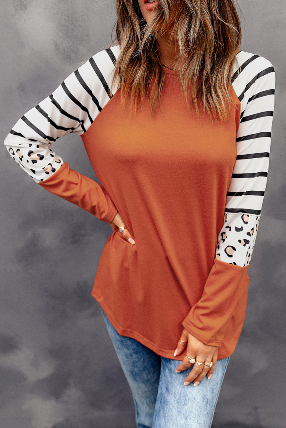 Black Striped Animal Print Colorblock Long Sleeve Top