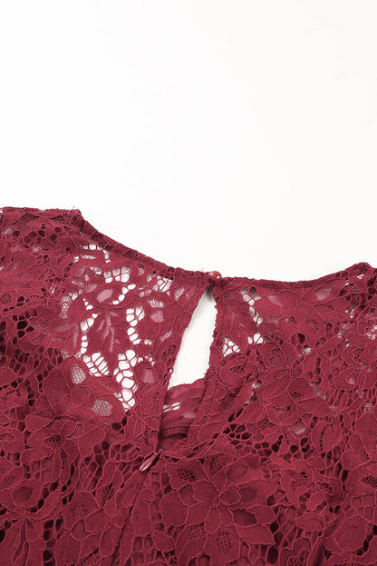 Lace Scalloped V Neck 3/4 Sleeves Pleated Tulle Plus Maxi Dress