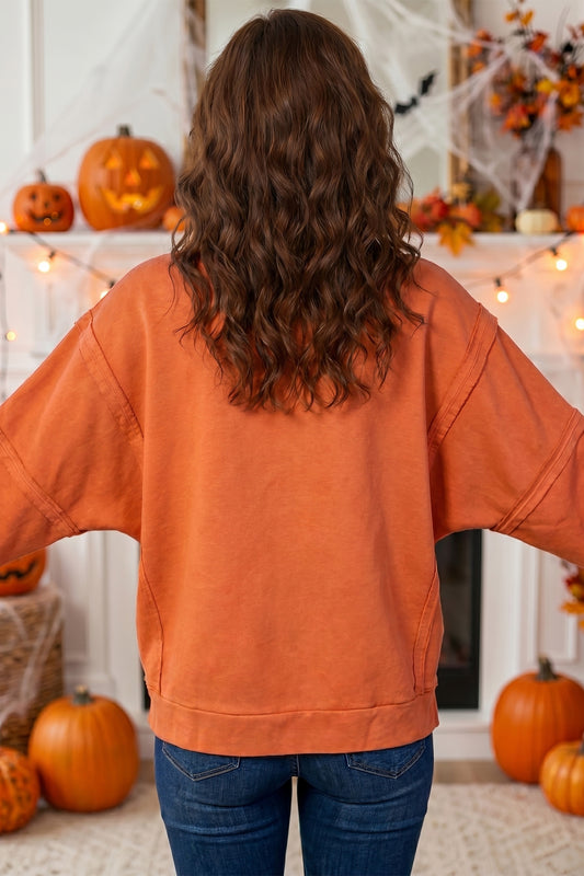 Flamingo Halloween Witchy Plaid Slogan Embroidered Patch Tunic Sweatshirt