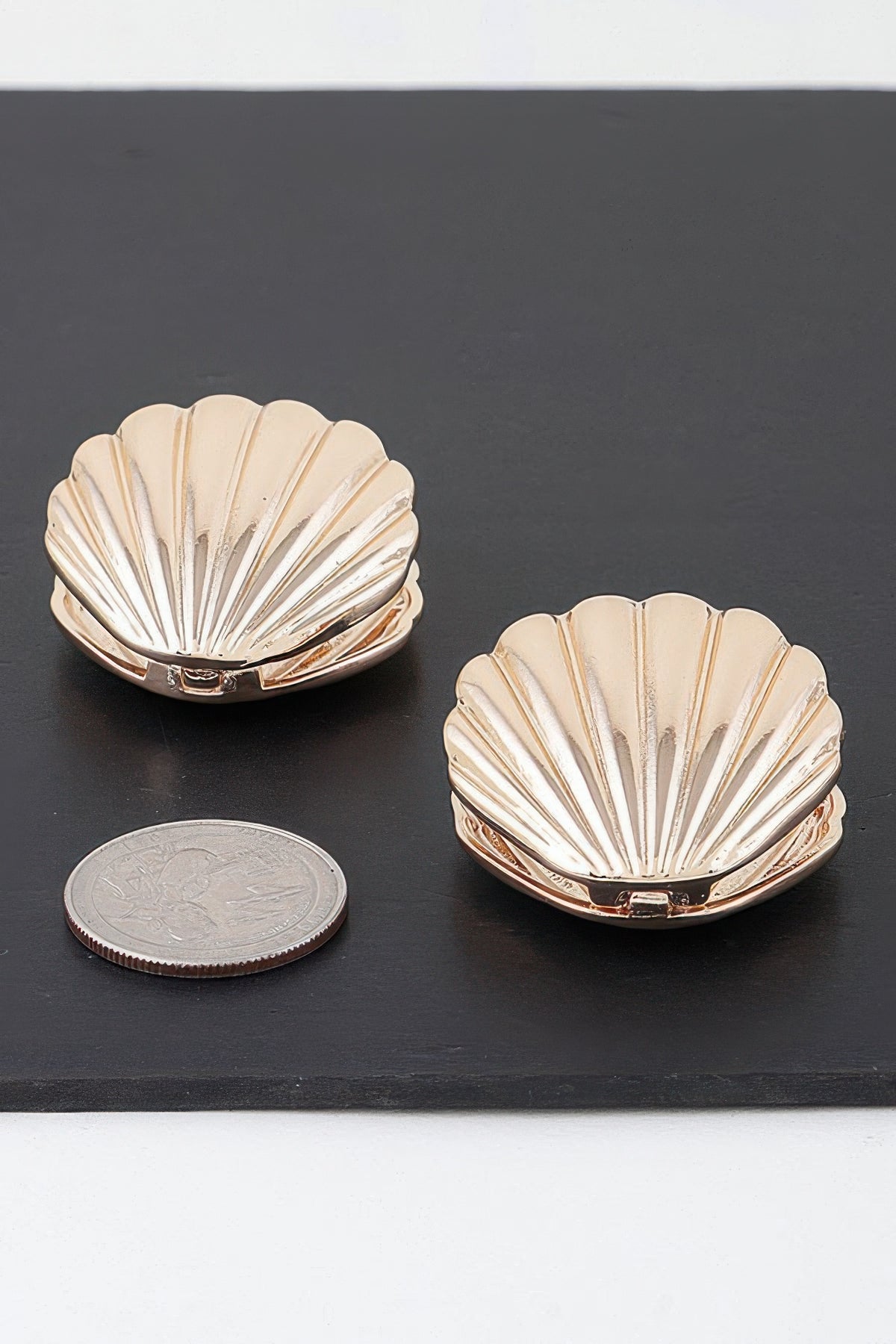 Modern Clam Shell Earrings