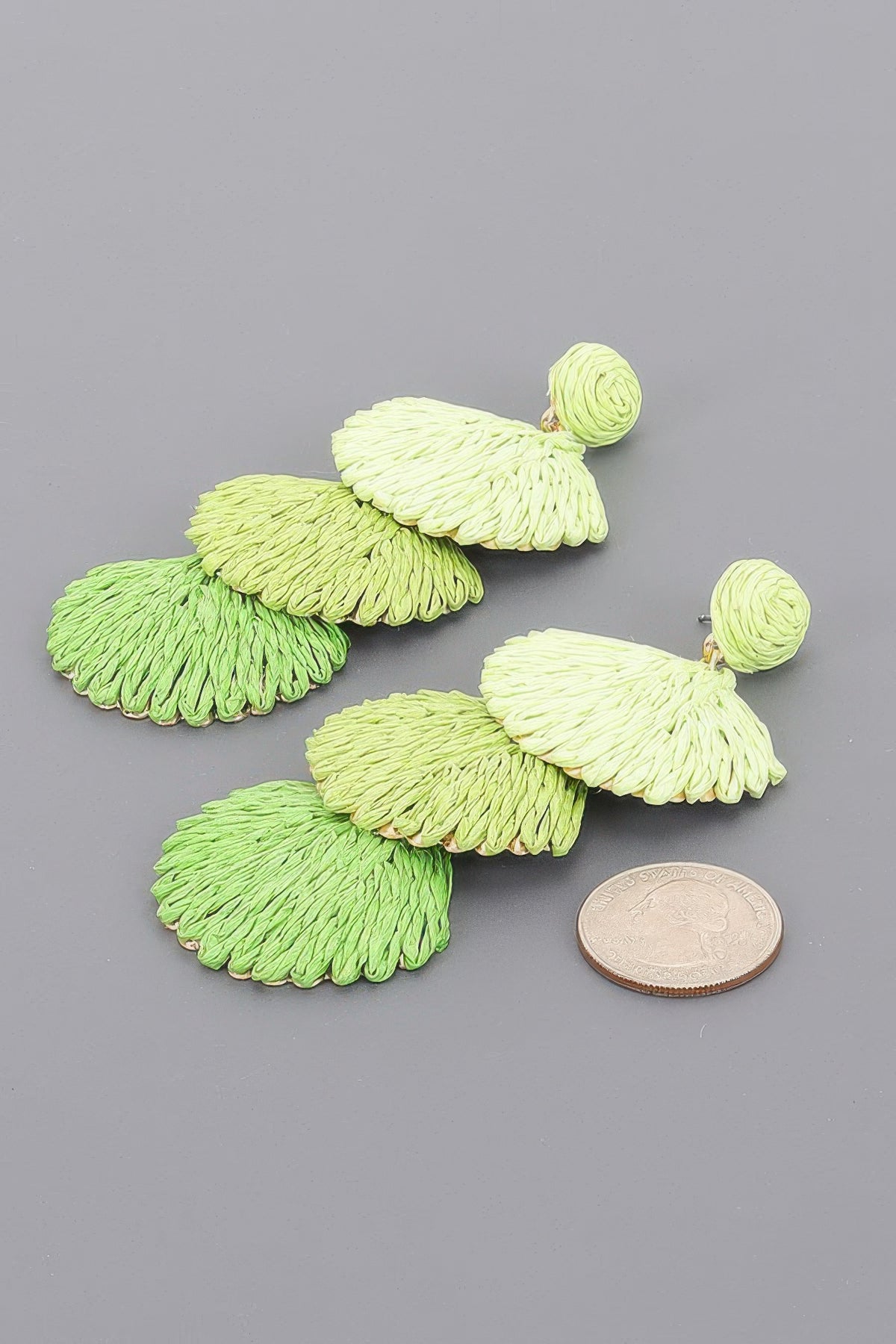 Faux Straw Earring