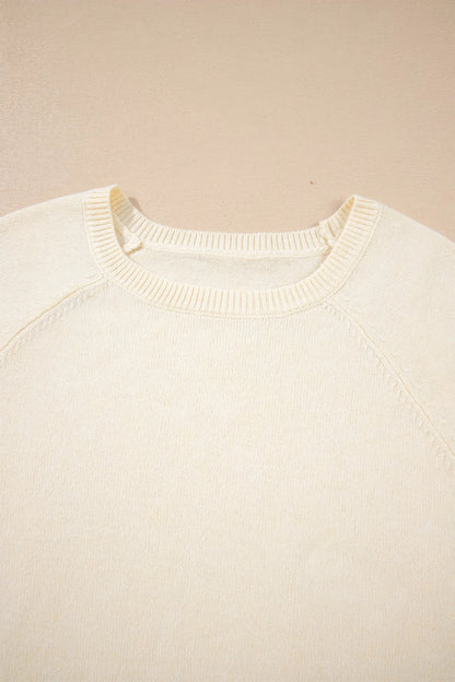 Solid Buttoned Bishop Long Sleeve Crew Neck Sweater
