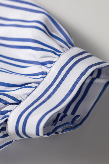 Blue Stripe Embroidered Detail Button Front Long Sleeve Shirt