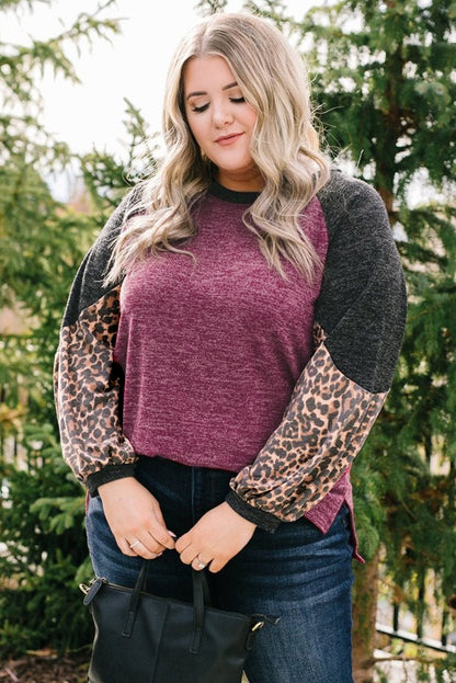 Multicolor Leopard Colorblock Long Sleeve Plus Size Top