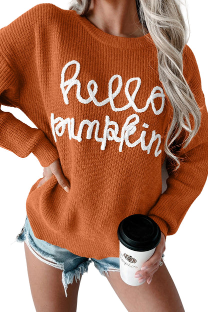 Pull graphique Flamingo Hello Pumpkin