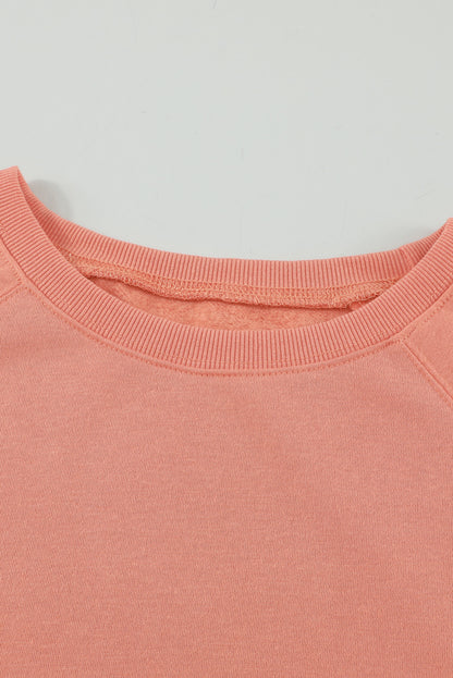 Raglan Patchwork Sleeve Pullover Sweatshirt