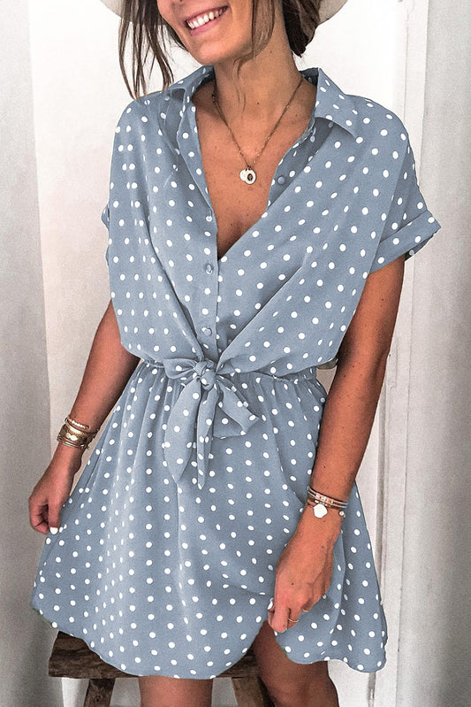 Polka Dot Shirt Collar Short Sleeve Mini Dress